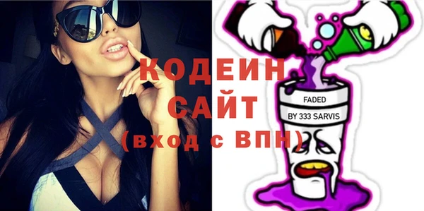 шишки Иннополис