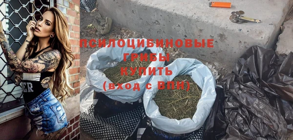 ГАЛЛЮЦИНОГЕННЫЕ ГРИБЫ Каменка