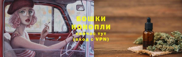шишки Иннополис