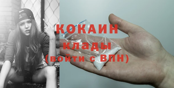 ГАЛЛЮЦИНОГЕННЫЕ ГРИБЫ Каменка