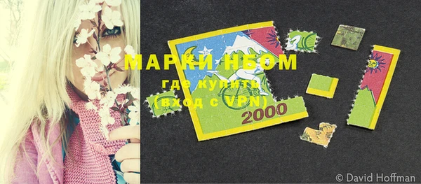 шишки Иннополис