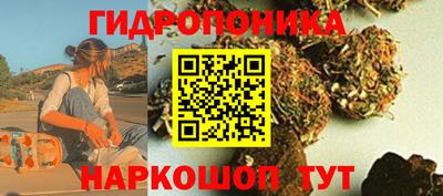 PSILOCYBIN Тверь