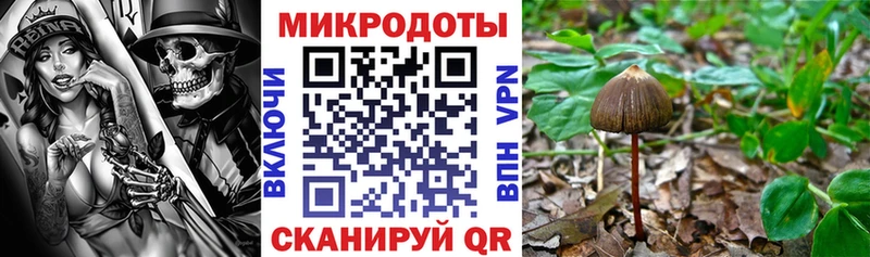 Псилоцибиновые грибы GOLDEN TEACHER  Лиски 