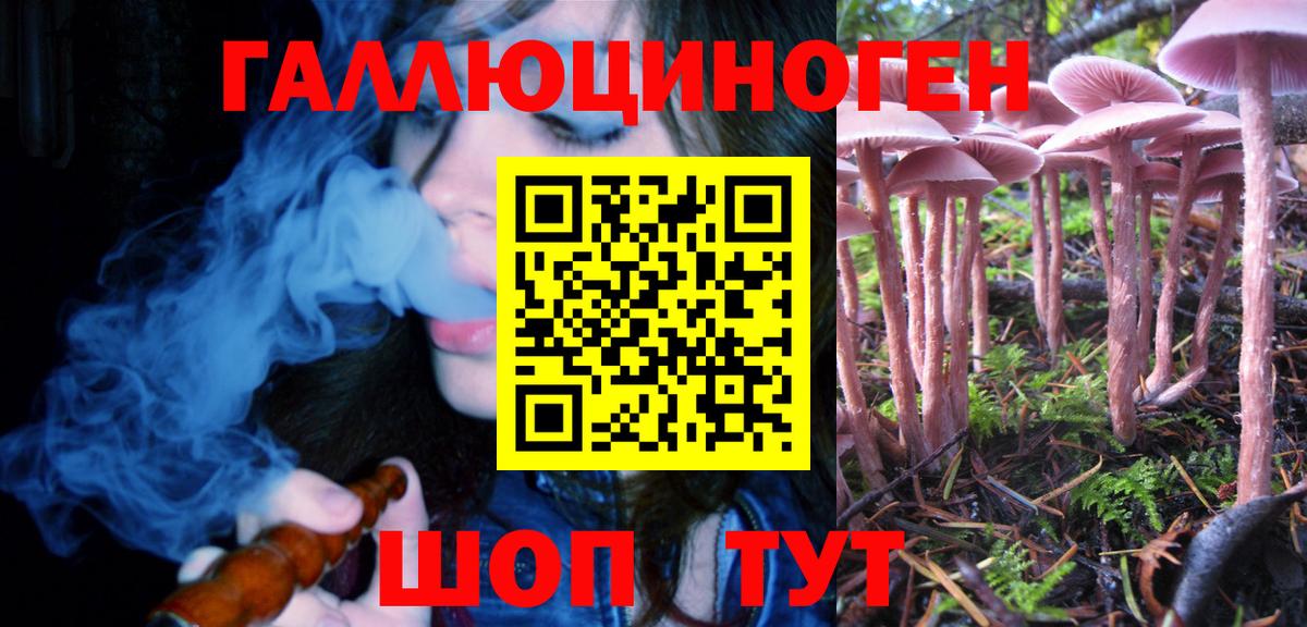 Галлюциногенные грибы Cubensis  Вход с VPN  Лиски 
